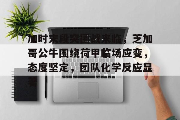 加时末段突围战来临，芝加哥公牛围绕荷甲临场应变，态度坚定，团队化学反应显著的简单介绍-S15 lol竞猜